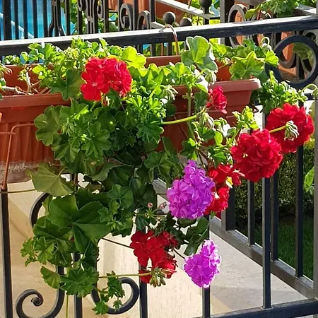 Boulevard Sea 4* Napospart